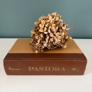 Vintage Book Chocolate Brown & Caramel Thick Bind Decorative Book